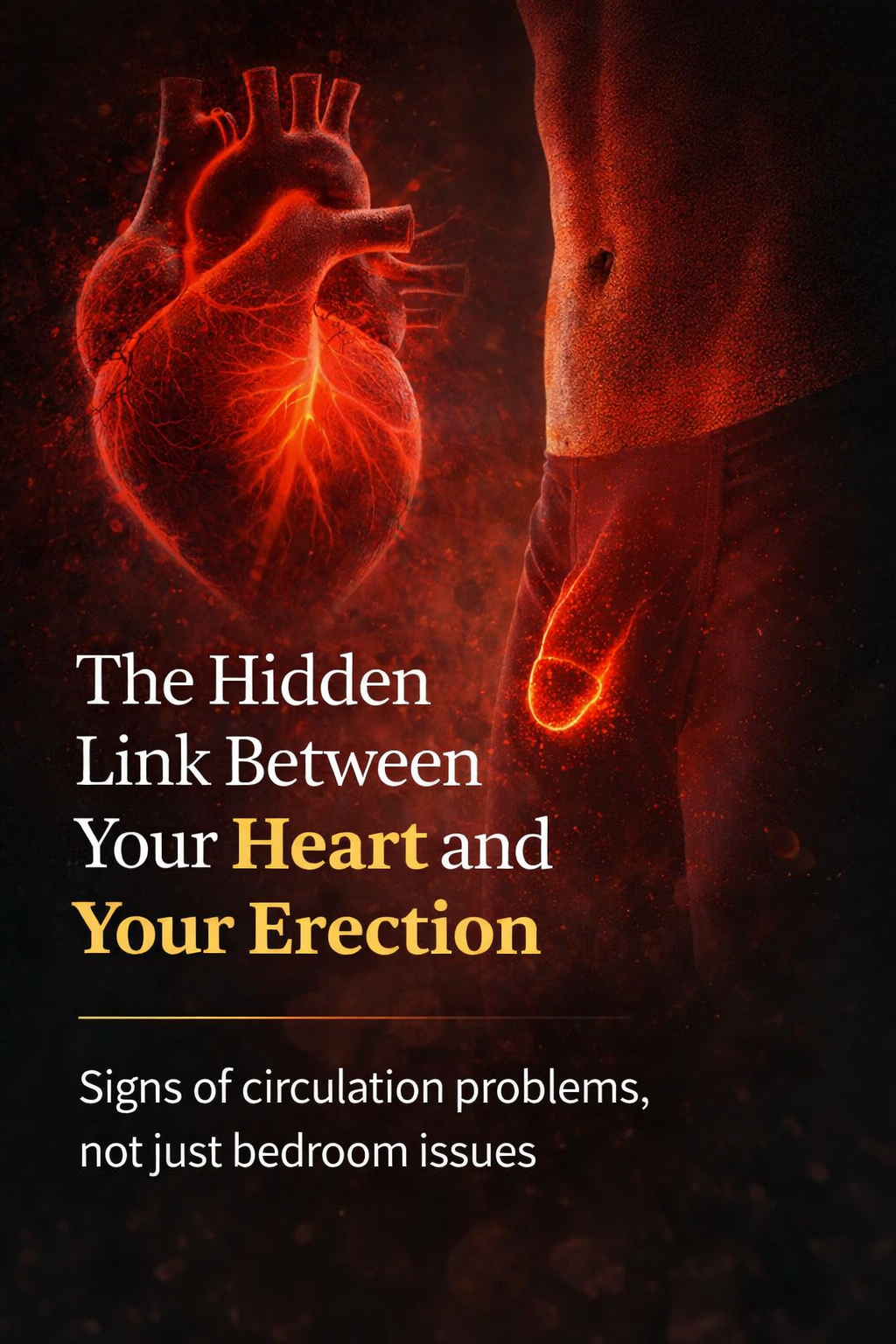 The Hidden Link Between Your Heart and Your Erection